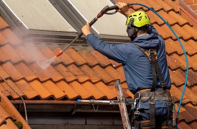 Démoussage et hydrofuge de toiture à Lespiteau